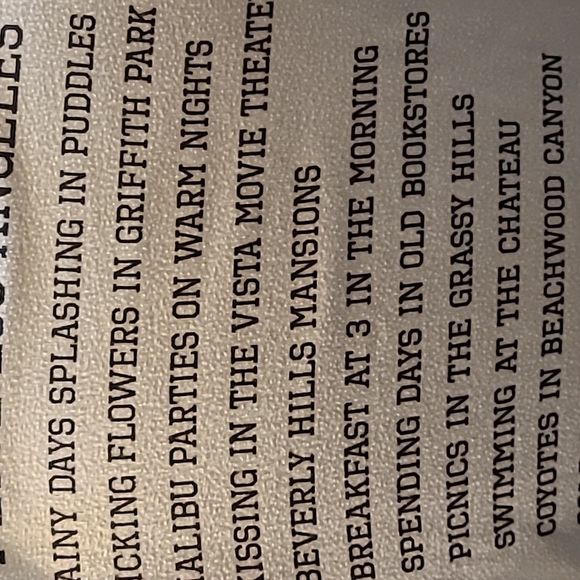 WILDFOX T SHIRT - Picture 4 of 6